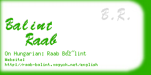 balint raab business card